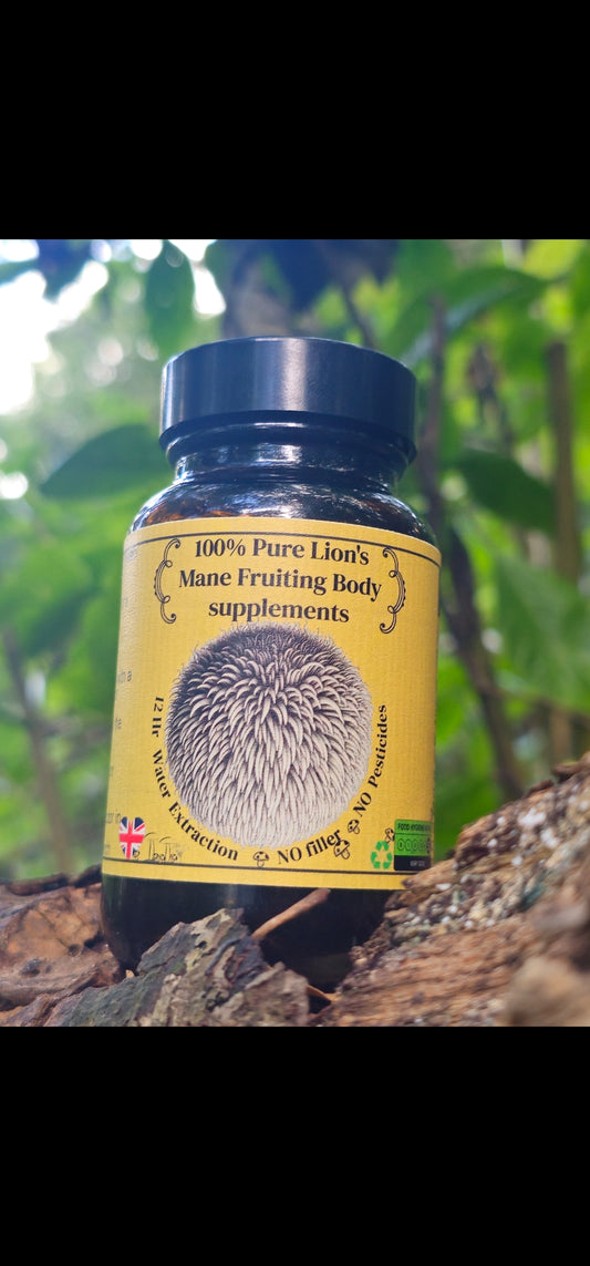 100% Pure water extracted Lions mane Supplement