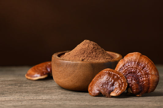 100% Double Extracted Reishi Supplement